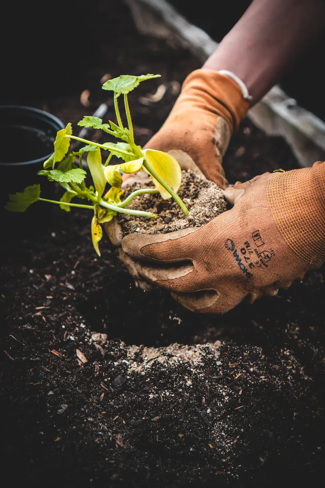 Gestión ambiental y saneamiento: trabajo de campo de NEX